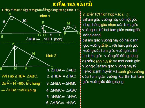 Các bài Luyện tập