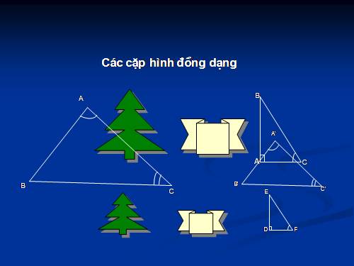 Chương III. §4. Khái niệm hai tam giác đồng dạng