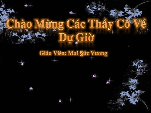 Các bài Luyện tập