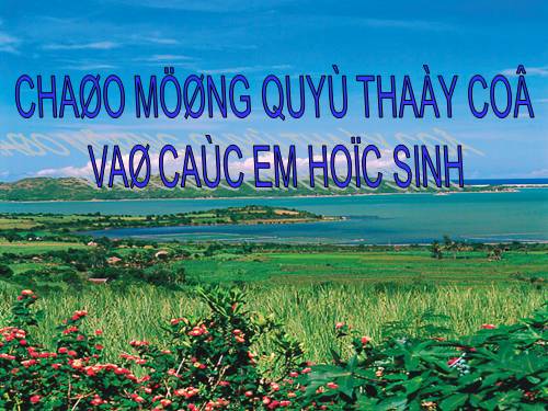 Chương I. §11. Hình thoi