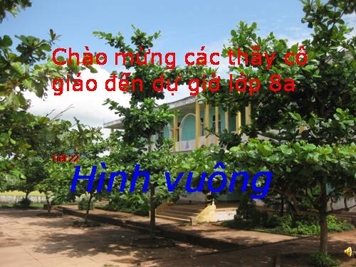 Chương I. §12. Hình vuông