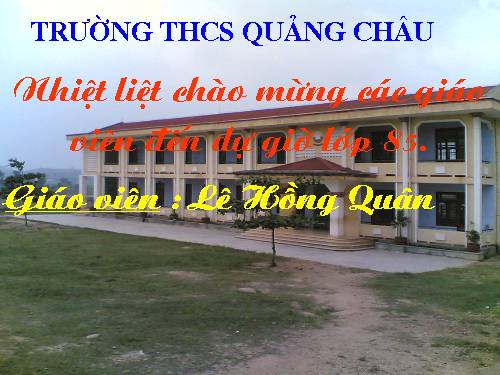 Các bài Luyện tập