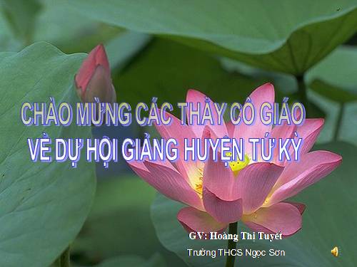 Chương II. §3. Diện tích tam giác