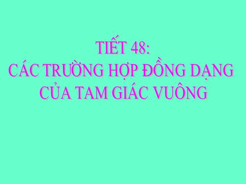 Chương III. §8. Các trường hợp đồng dạng của tam giác vuông