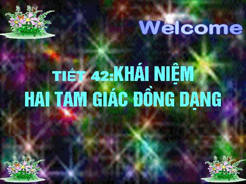 Chương III. §4. Khái niệm hai tam giác đồng dạng