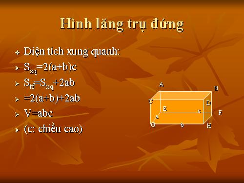 Chương IV. §4. Hình lăng trụ đứng