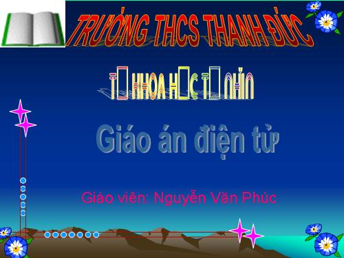 Chương IV. §7. Hình chóp đều và hình chóp cụt đều