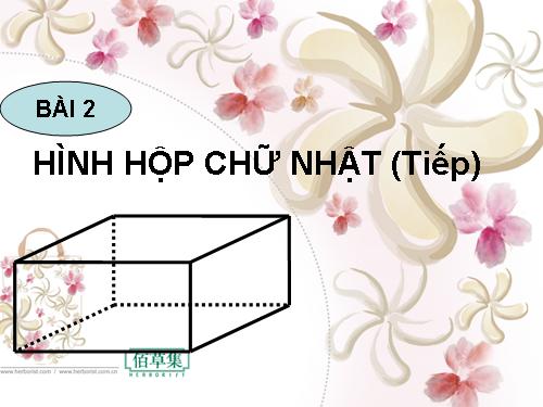 Chương IV. §2. Hình hộp chữ nhật (tiếp)