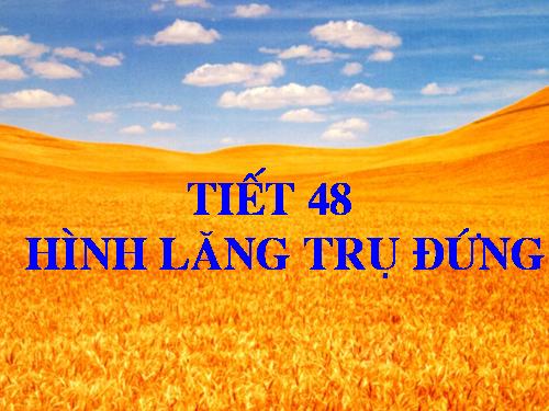 Chương IV. §4. Hình lăng trụ đứng