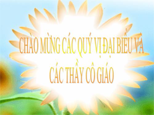 Chương IV. §4. Hình lăng trụ đứng