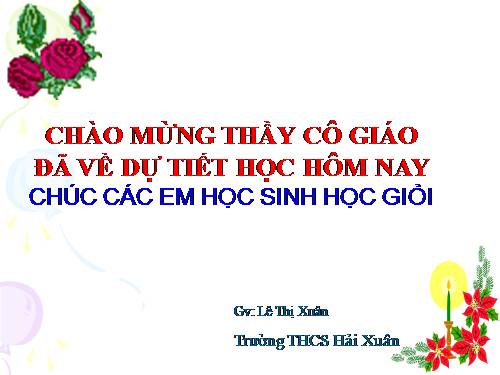 Chương II. §2. Diện tích hình chữ nhật