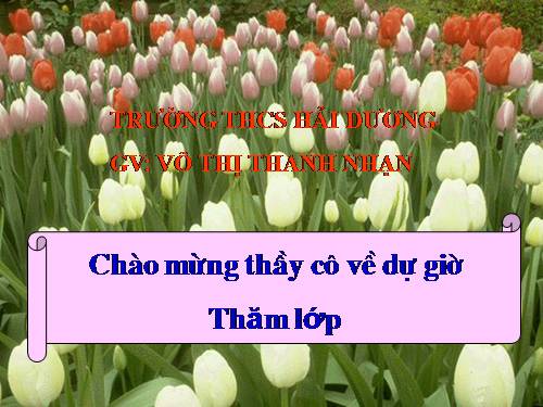 Chương II. §3. Diện tích tam giác