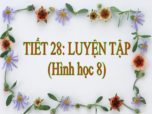 Các bài Luyện tập