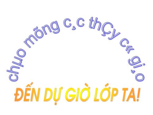 Các bài Luyện tập