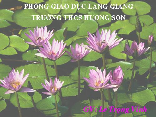 Chương IV. §6. Thể tích của hình lăng trụ đứng