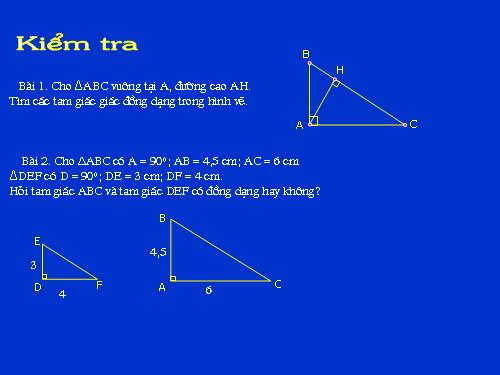 Chương III. §8. Các trường hợp đồng dạng của tam giác vuông