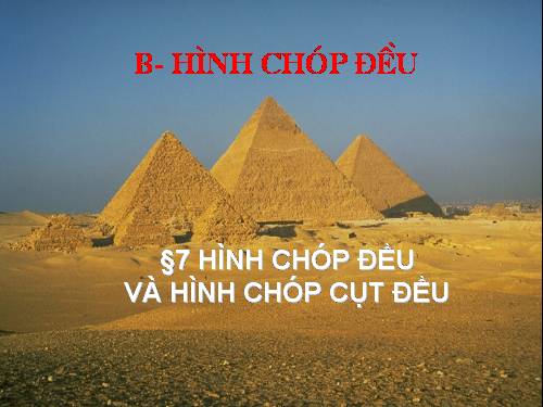 Chương IV. §7. Hình chóp đều và hình chóp cụt đều