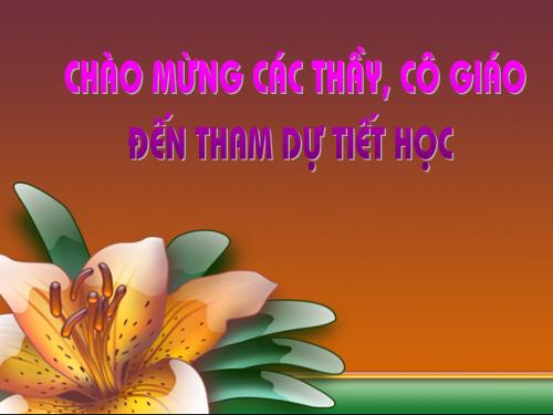 Chương I. §12. Hình vuông