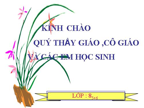 Chương I. §11. Hình thoi