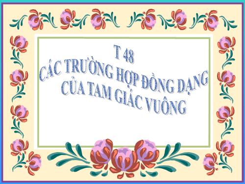 Chương III. §8. Các trường hợp đồng dạng của tam giác vuông