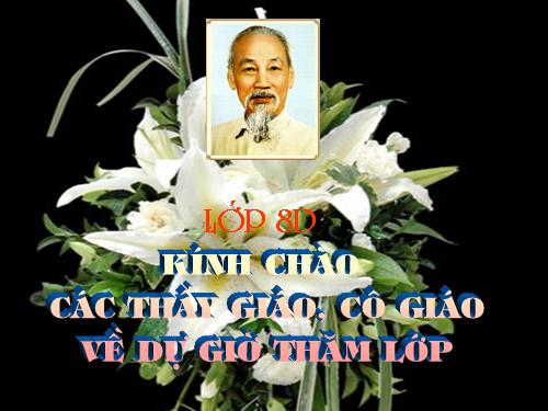 Chương III. §4. Khái niệm hai tam giác đồng dạng