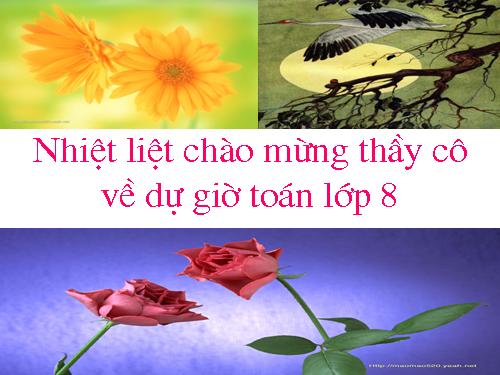 Các bài Luyện tập