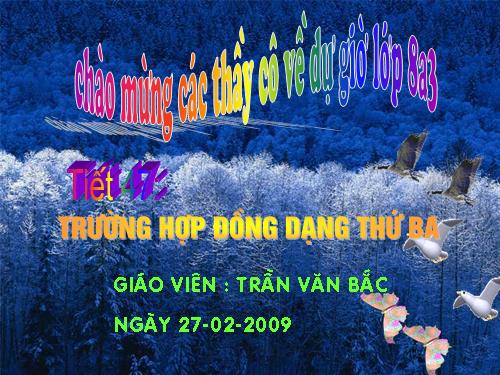 Chương III. §7. Trường hợp đồng dạng thứ ba