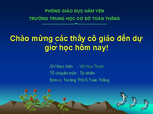 Các bài Luyện tập