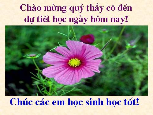 Chương III. §3. Tính chất đường phân giác của tam giác