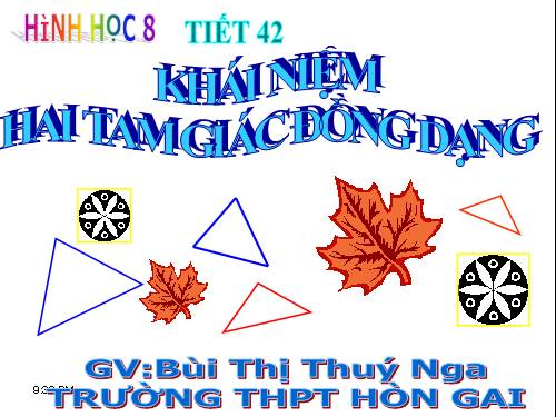 Chương III. §4. Khái niệm hai tam giác đồng dạng