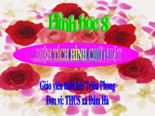 Chương II. §2. Diện tích hình chữ nhật