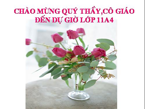 Chương III. §1. Định lí Ta-lét trong tam giác