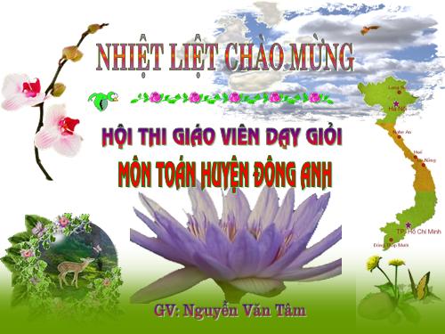 Các bài Luyện tập