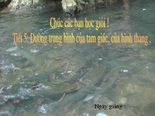 Chương I. §4. Đường trung bình của tam giác, của hình thang