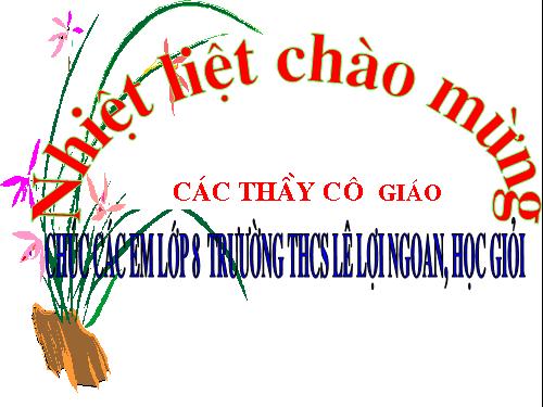 Các bài Luyện tập