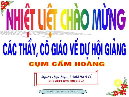 Các bài Luyện tập