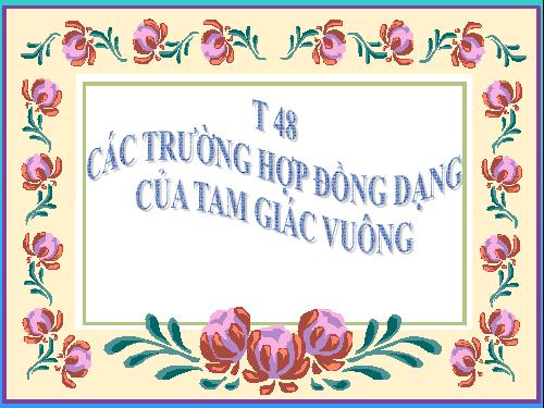 Chương III. §8. Các trường hợp đồng dạng của tam giác vuông