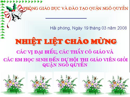 Chương III. §8. Các trường hợp đồng dạng của tam giác vuông