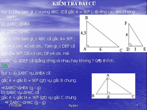 Chương III. §8. Các trường hợp đồng dạng của tam giác vuông