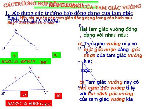 Chương III. §8. Các trường hợp đồng dạng của tam giác vuông