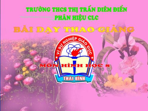 Chương II. §3. Diện tích tam giác