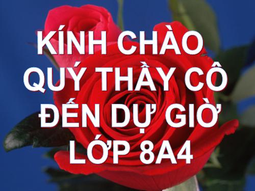 Các bài Luyện tập