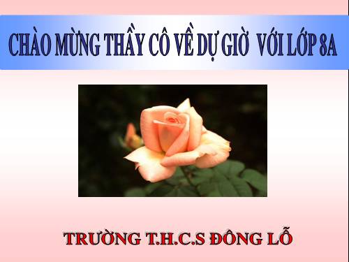 Chương III. §9. Ứng dụng thực tế của tam giác đồng dạng