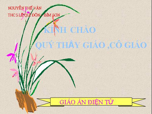 Chương III. §8. Các trường hợp đồng dạng của tam giác vuông