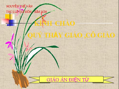 Chương II. §3. Diện tích tam giác