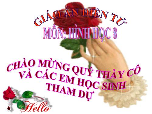 Chương III. §8. Các trường hợp đồng dạng của tam giác vuông