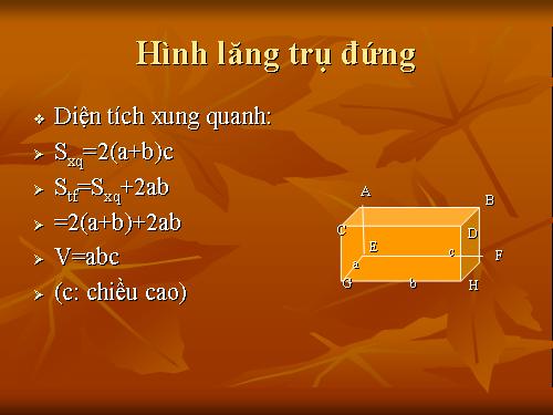 Chương IV. §7. Hình chóp đều và hình chóp cụt đều