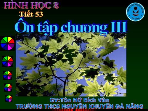 Ôn tập Chương III. Tam giác đồng dạng