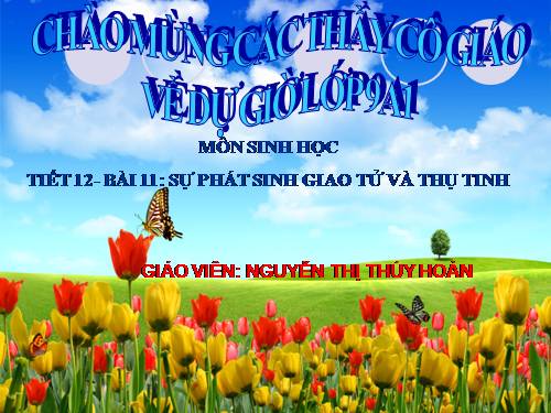 Bài 11. Phát sinh giao tử và thụ tinh