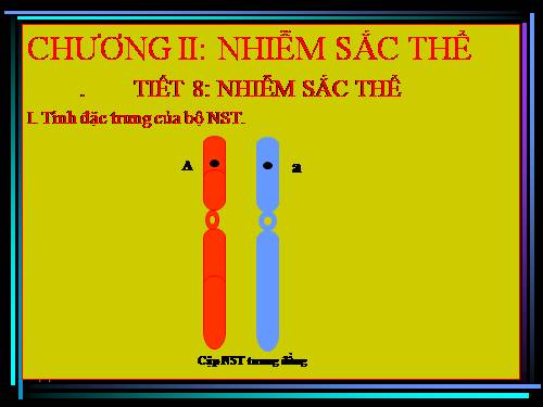 Bài 8. Nhiễm sắc thể